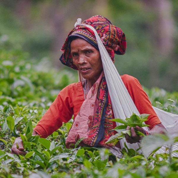 bangladesh tribe trip