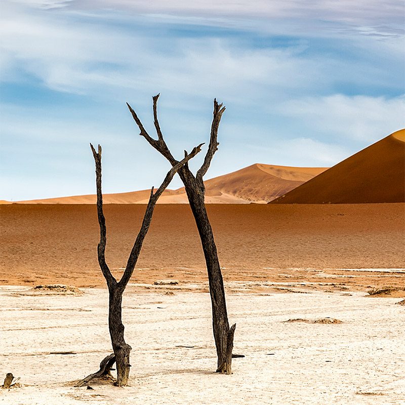 sossusvlei trip