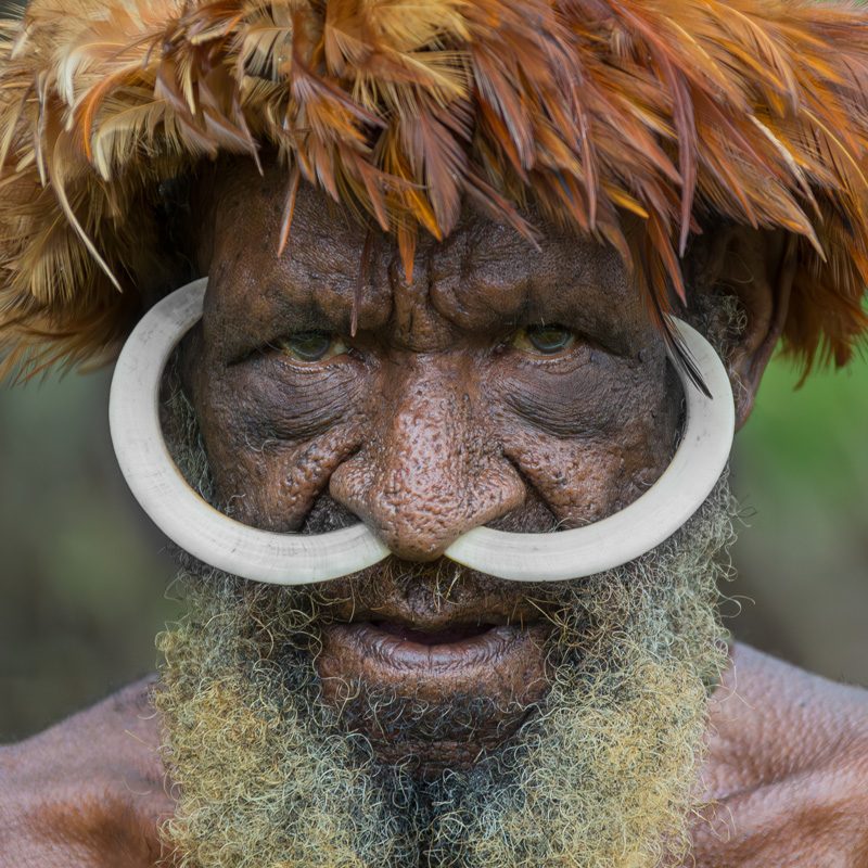 Dani people man wearing nasal piercing during trip to West Papua I hombre del pueblo dani con abalorio nasal durante viaje a Papua Occidental