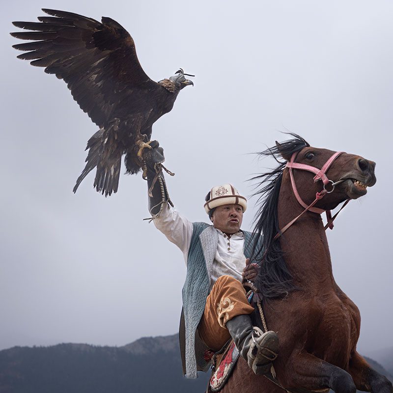 demostración de cetrería durante viaje etnográfico a Kirguistán